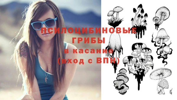 тгк Вязьма